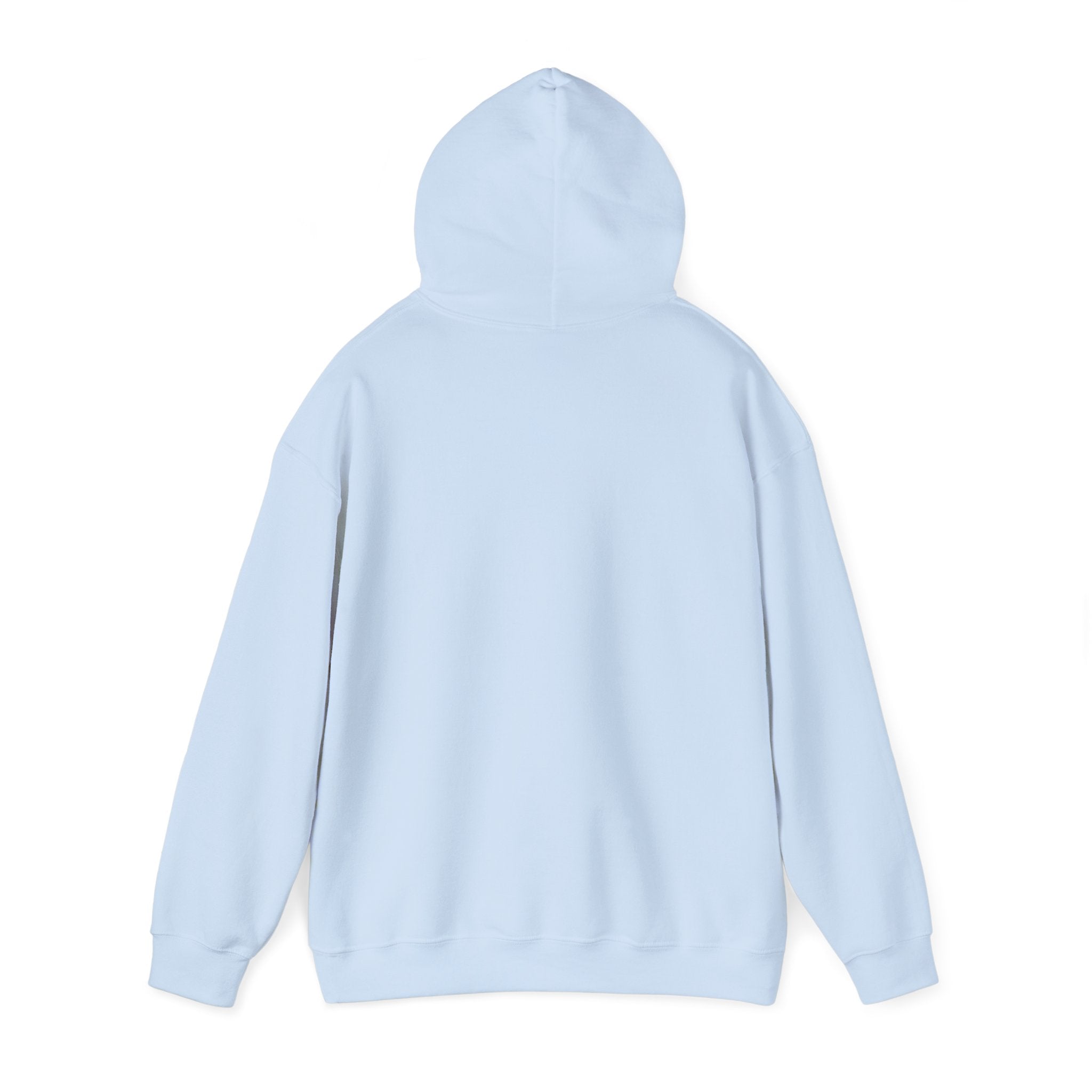 Eye Don't Chase Hooded Sweatshirt